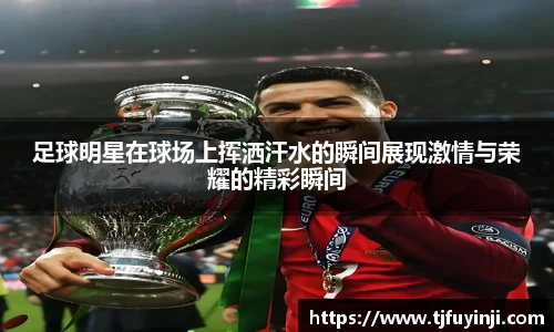 足球明星在球场上挥洒汗水的瞬间展现激情与荣耀的精彩瞬间