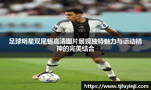 足球明星双尾蝎高清图片展现独特魅力与运动精神的完美结合